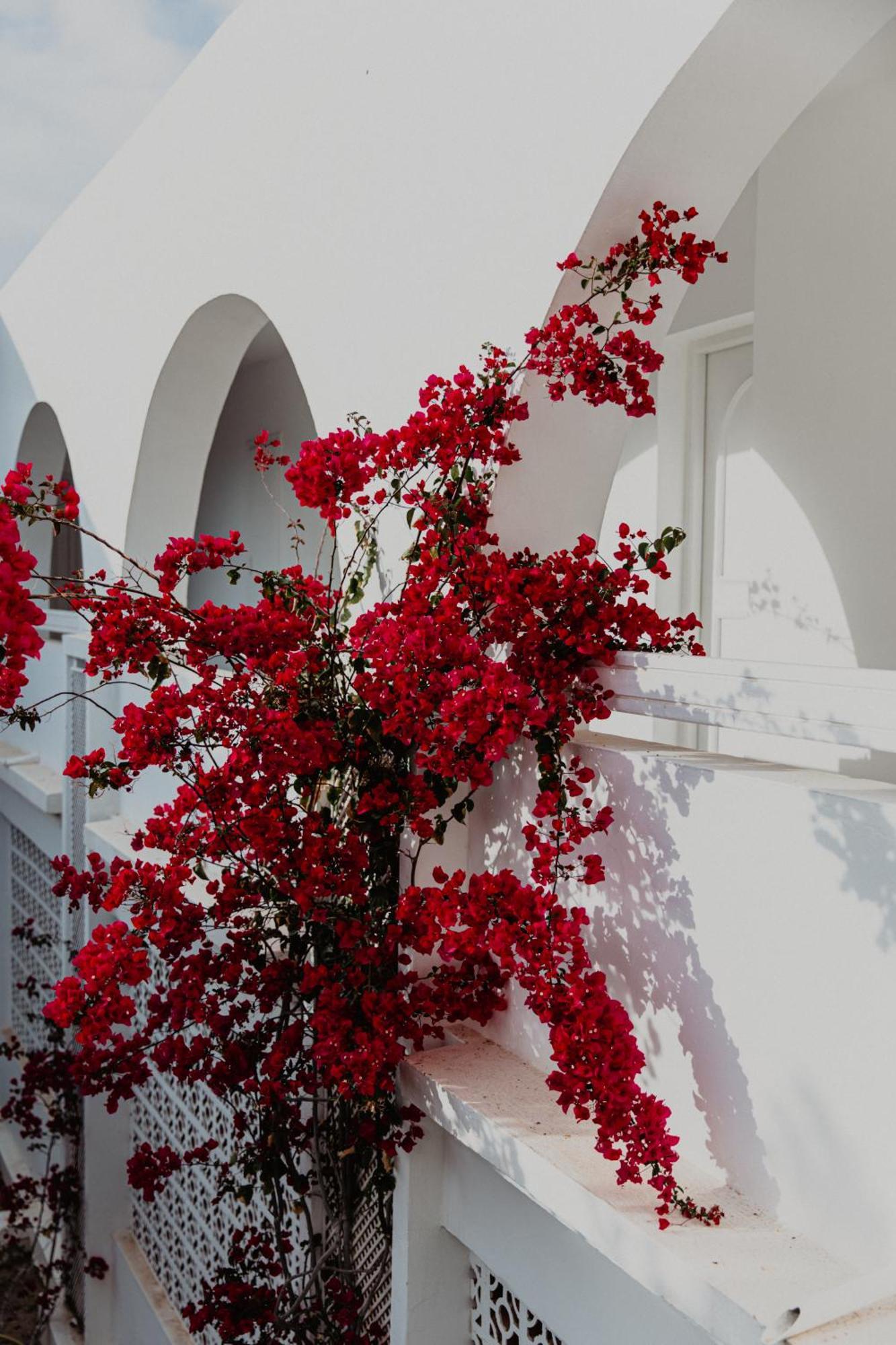 Hotel Bougainvillier Djerba Taguermess ภายนอก รูปภาพ