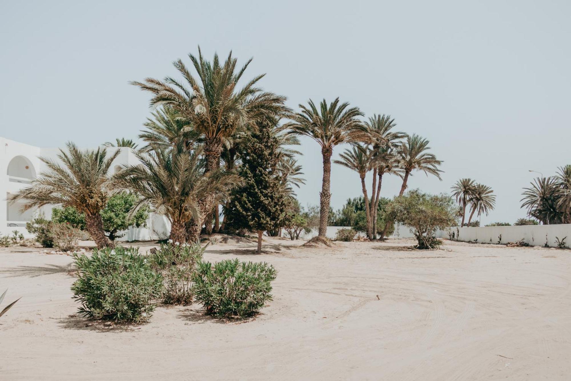 Hotel Bougainvillier Djerba Taguermess ภายนอก รูปภาพ